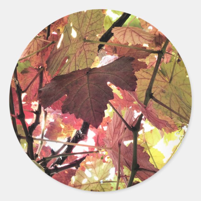 STICKER ROND FEUILLES D'AUTOMNE (Devant)
