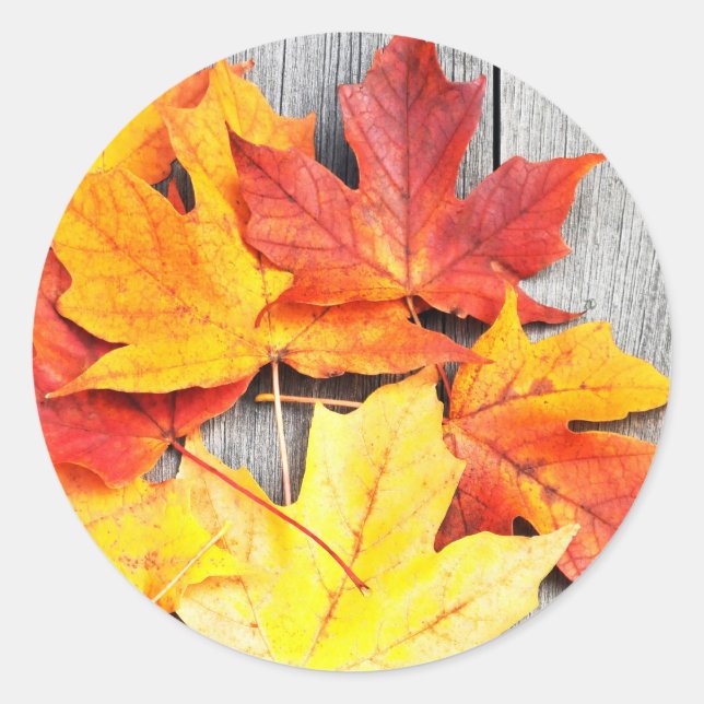 Sticker Rond Feuilles d'automne (Devant)