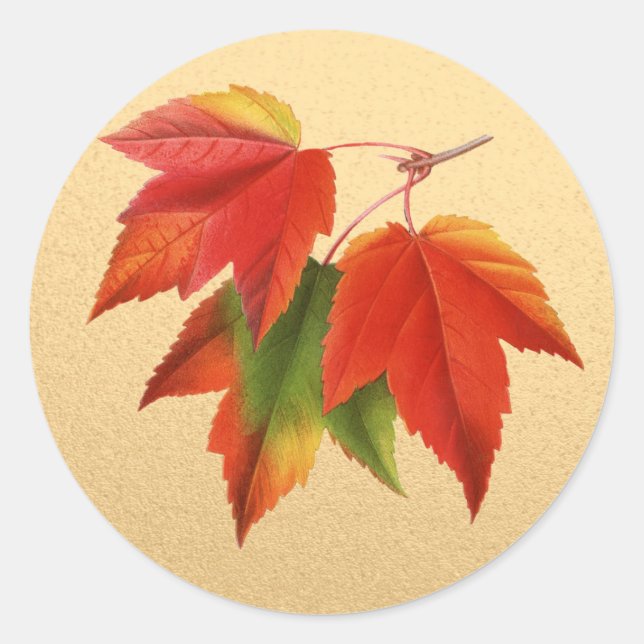 Sticker Rond Feuilles d'automne Couleurs d'automne Feuille d'ér (Devant)