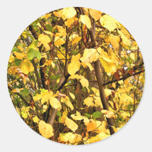 STICKER ROND FEUILLES D'AUTOMNE JAUNE