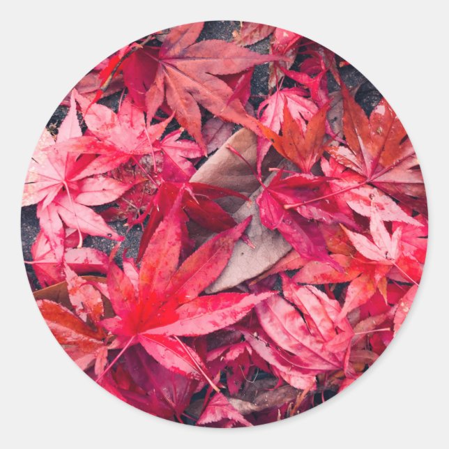 Sticker Rond Feuilles d'automne rouges (Devant)