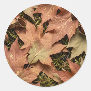 Sticker Rond Feuilles de érable d'automne dorées Mousse Feuilla