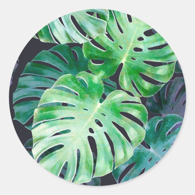 Sticker Rond Feuilles de Monstera Tropical (Devant)