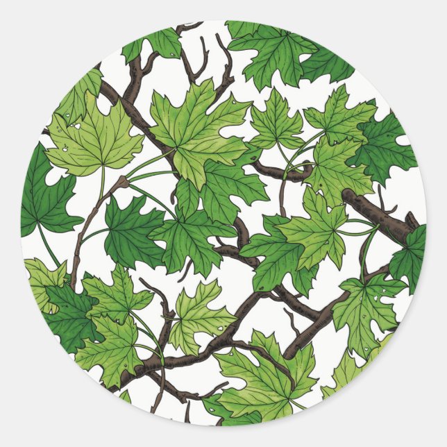 Sticker Rond Feuilles d'érable sur fond blanc (Devant)