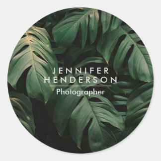 Sticker Rond Feuilles forestiers