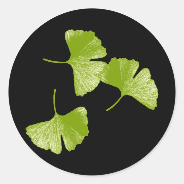 Sticker Rond Feuilles Ginkgo (Devant)