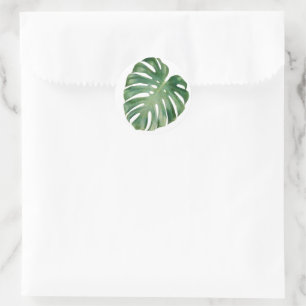 Sticker Rond Feuilles Monstera