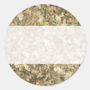 Sticker Rond Feuilles. Plancher de bois. Terrain feutré.