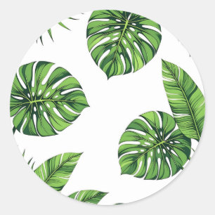 Sticker Rond Feuilles Tropicales de Monstera Motif Sans Couture