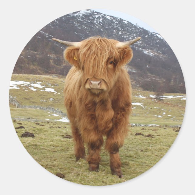 Sticker Rond Fier d'être écossais ! (Devant)