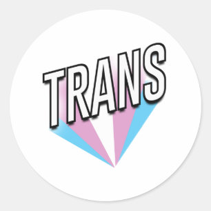 Sticker Rond Fierté Trans éclatée Trans