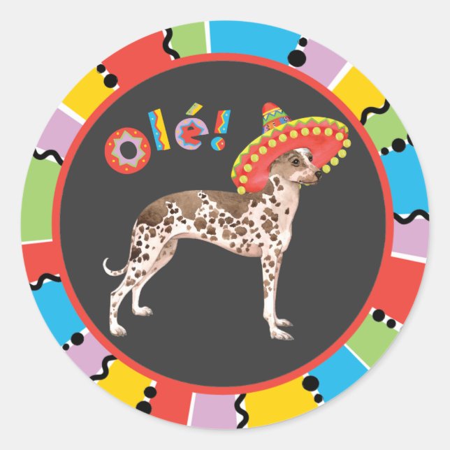 Sticker Rond Fiesta Orchidée inca péruvienne (Devant)