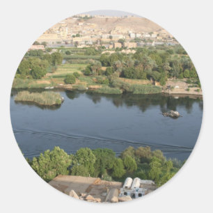 Sticker Rond fièvre de nid