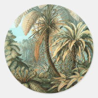 Filicinae par Ernst Haeckel, Plantes de fougères v