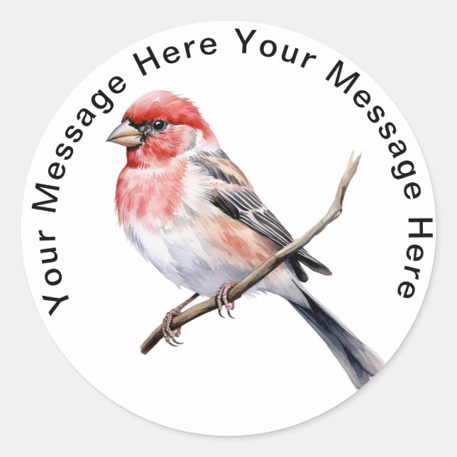 Sticker Rond Finch (Devant)