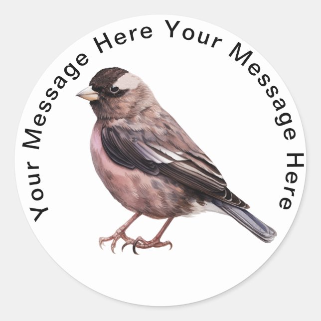 Sticker Rond Finch Rosy noir (Devant)