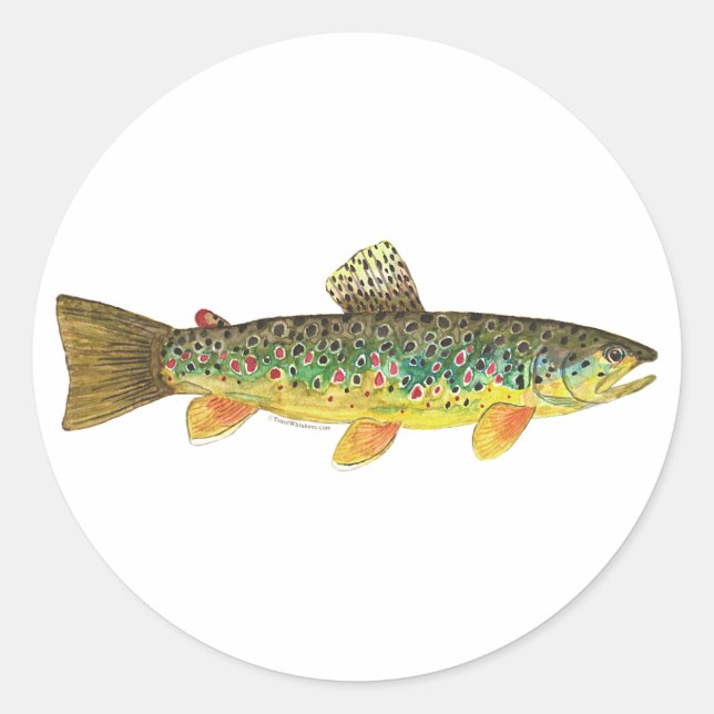Sticker Rond Fishing (Devant)