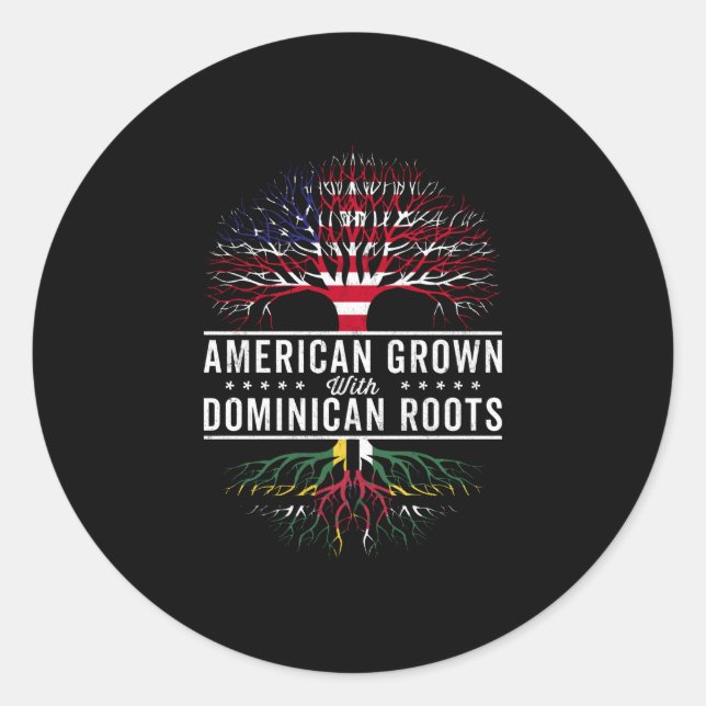 Sticker Rond Flag américain de Dominican Roots (Devant)