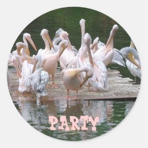 Sticker Rond Flamant rose