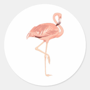 Sticker Rond Flamant rose de Freddy
