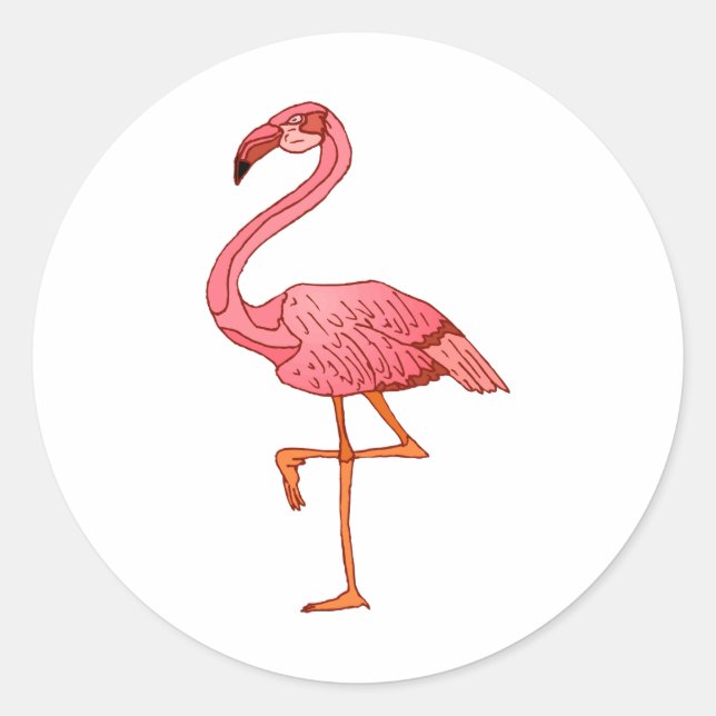 Sticker Rond Flamant rose Franklin (Devant)