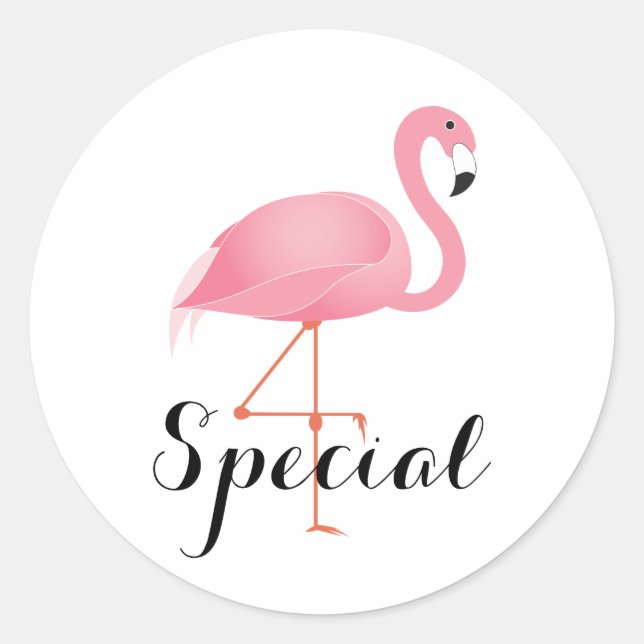 Sticker Rond Flamant rose rose (Devant)