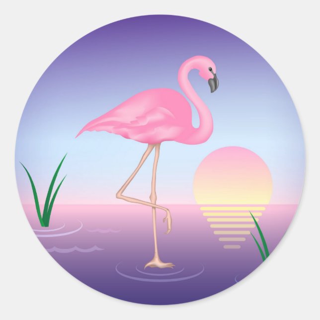 Sticker Rond Flamant rose rose (Devant)