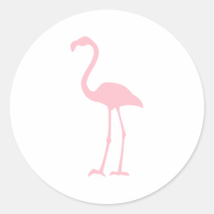 Sticker Rond Flamant rose rose
