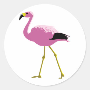 Sticker Rond Flamant rose rose