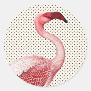 Sticker Rond Flamant rose rose et pois vintage