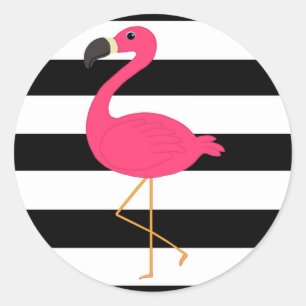 Sticker Rond Flamant rose rose rayé noir et blanc