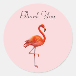 Sticker Rond Flamant rose rose sur Merci rose