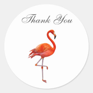 Sticker Rond Flamant rose sur fond blanc Merci