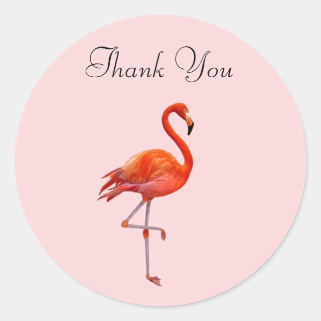 Sticker Rond Flamant rose sur Merci rose (Devant)