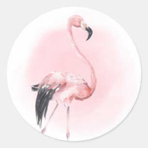 Sticker Rond Flamant Rose Tropical