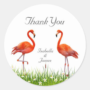 Sticker Rond Flamants roses & Fleurs Merci
