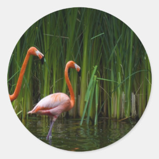 STICKER ROND FLAMINGO ROSE