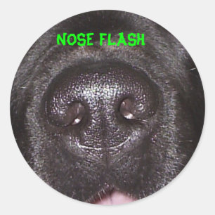 STICKER ROND FLASH DU NEZ