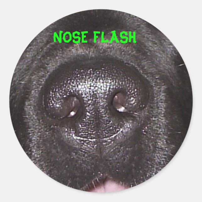STICKER ROND FLASH DU NEZ (Devant)