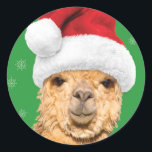 Sticker Rond Fleece Navidad Christmas Llama avec Santa Hat<br><div class="desc">Un autocollant qui correspond à la carte de Noël Fleece Navidad avec la même image !</div>