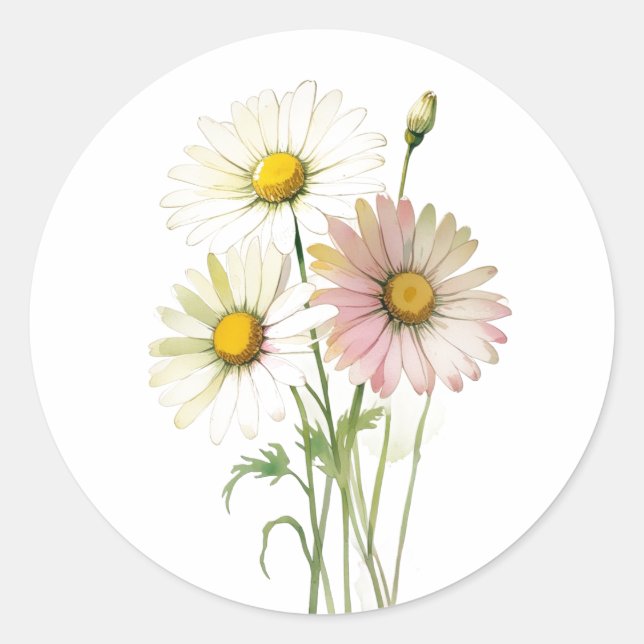 Sticker Rond Fleur aquarelle marguerite moderne professionnelle (Devant)