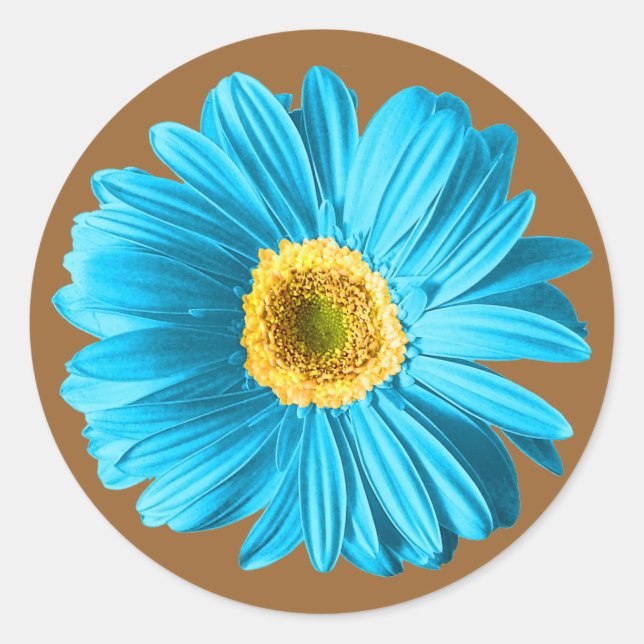 Sticker Rond Fleur bleu marguerite (Devant)