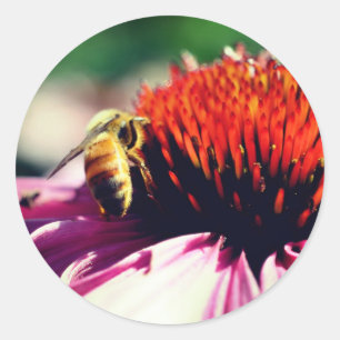 Sticker Rond Fleur d'abeilles au miel occupée