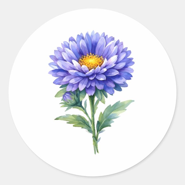 Sticker Rond Fleur d'aster pourpre en aquarelle en fleurs  (Devant)