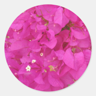 Sticker Rond Fleur de bougainvilliers roses (Grèce)