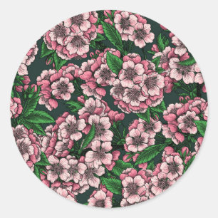 Sticker Rond Fleur de cerisier 2