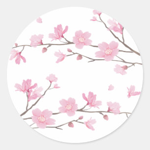 Sticker Rond Fleur de cerisier - Transparent-Arrière - plan