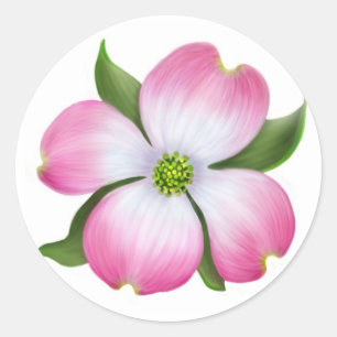 Sticker Rond Fleur de Dogwood rose