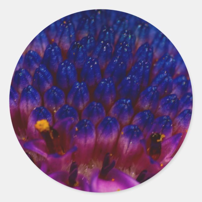 Sticker rond Fleur de Faisée Africaine (Devant)
