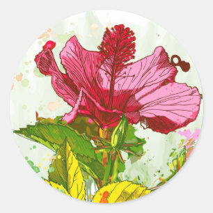 Sticker Rond Fleur de ketmie - peinture d'aquarelle